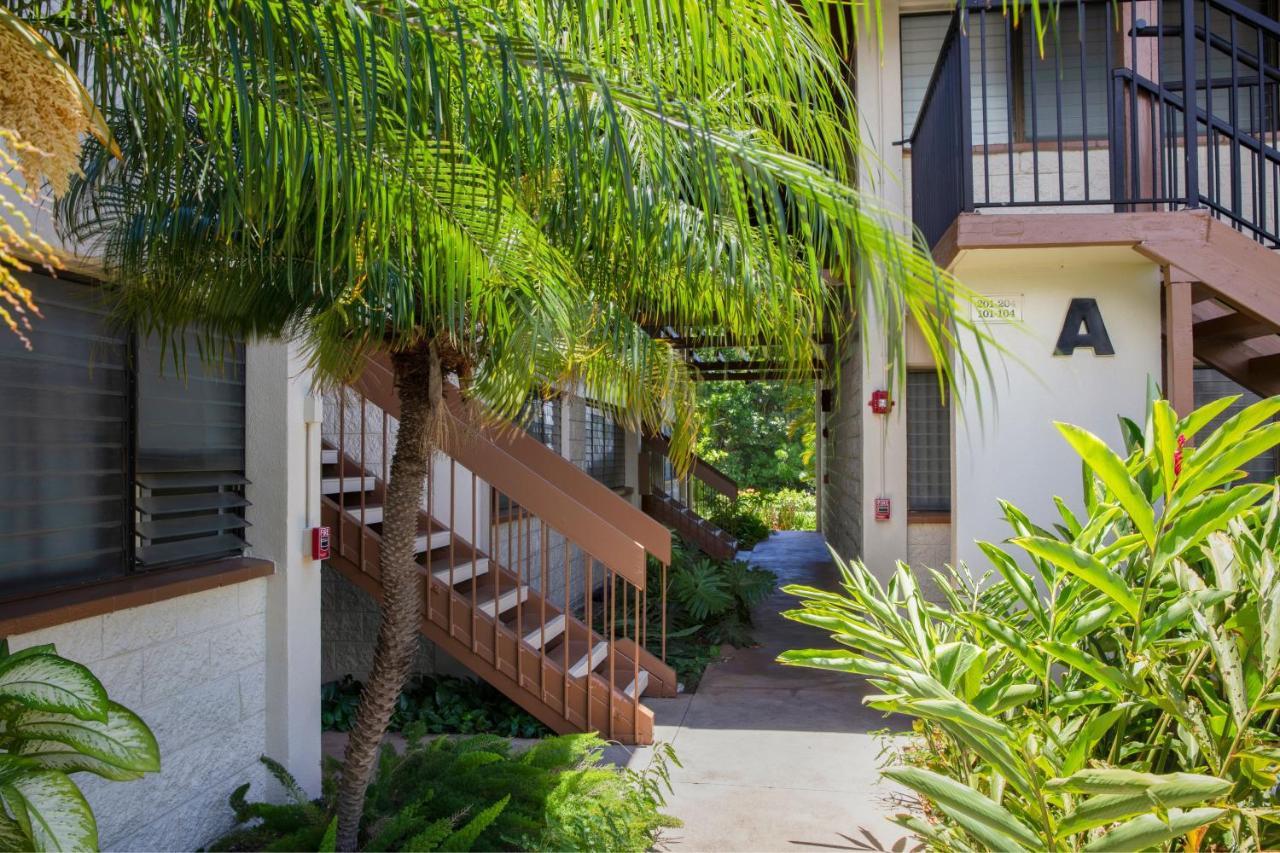 Beautiful 1 Bedroom Condo With Ocean Views | Oceanfront Кихей Экстерьер фото